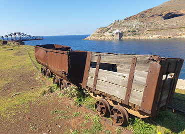 Portfolio picture template