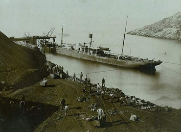 Portfolio picture template