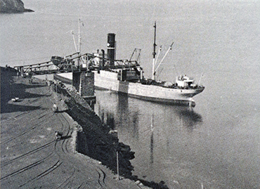 Portfolio picture template