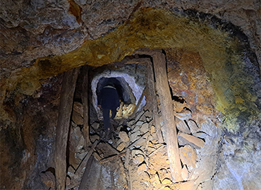 Portfolio picture template