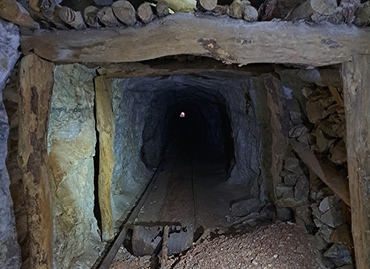 Portfolio picture template