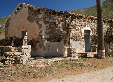 Portfolio picture template