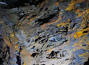 Portfolio picture template